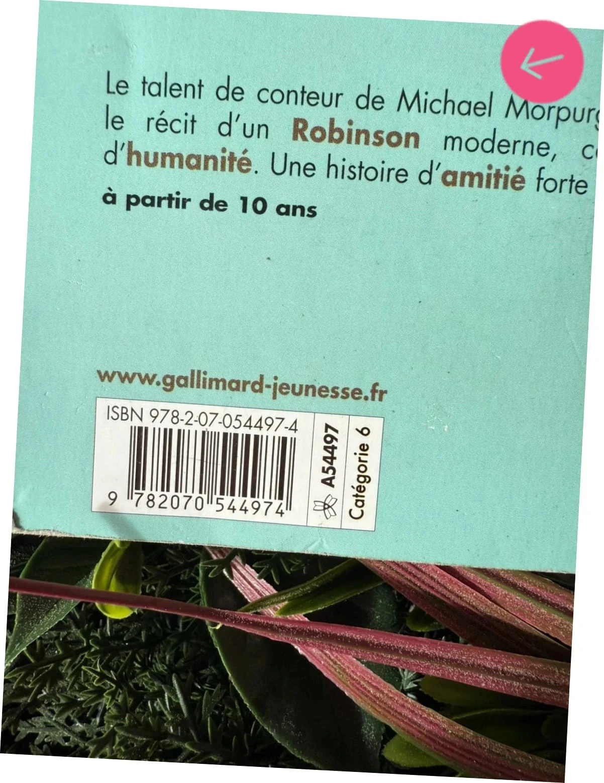 Livre le royaume de kenzuke bien servie – photo 6